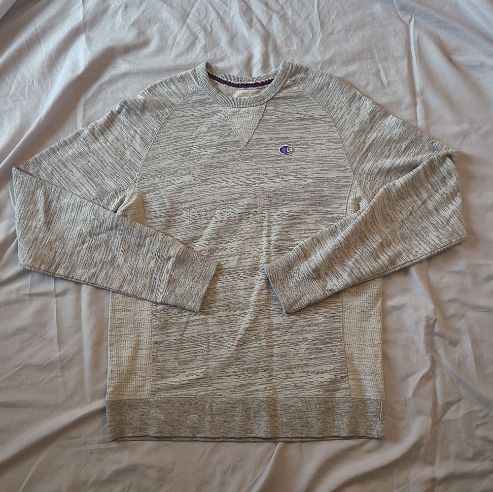 Mens Champion Crewneck Sweatshirt, Gray, Size SMALL
